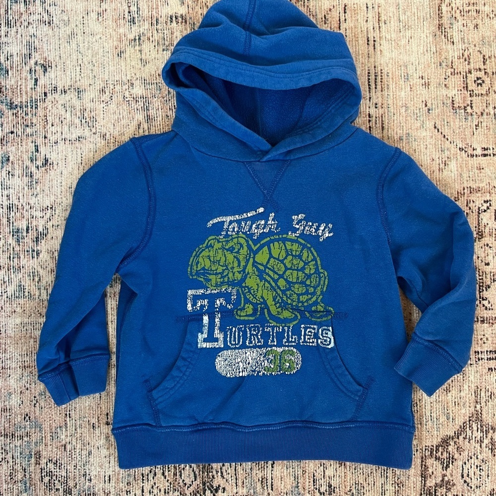 Place Blue Hoodie with Turtle Graphic